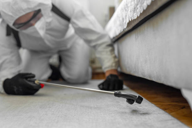 Professional Termite Control technician working in Waldo, FL