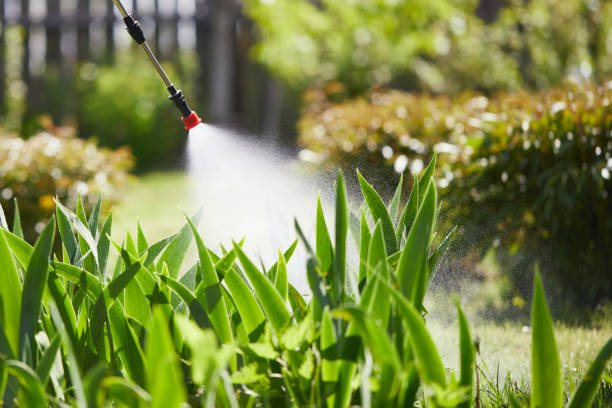 24/7 Emergency Termite Control experts in Waldo, FL